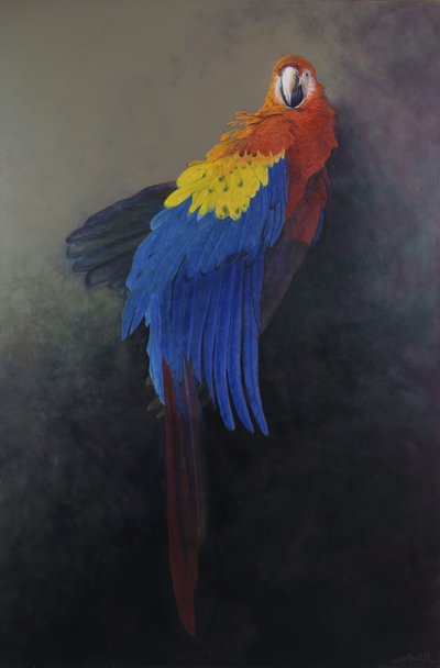 猩红金刚鹦鹉 3，2014 年（亚麻布上的丙烯颜料） 作者 奥迪尔·基德