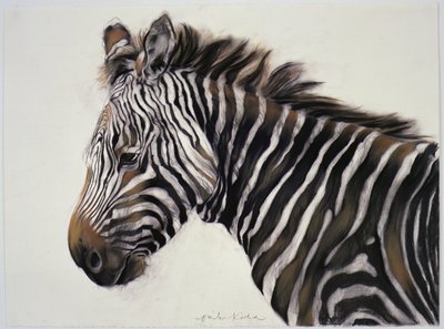 斑马，2002 年（木炭和粉笔） 作者 奥迪尔·基德