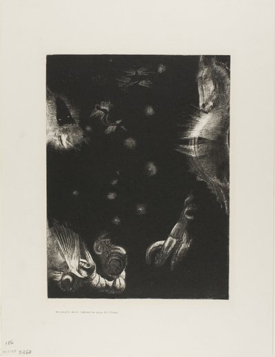 居住在海洋国家的不同民族》，第 23 版，共 24 页 作者 奥迪隆·雷顿（Odilon Redon）