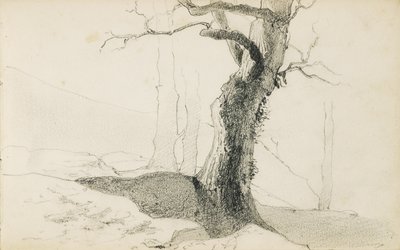 取自一张名为“巴斯克人的乡村”的相册，1862-63年 作者 奥迪隆·雷顿（Odilon Redon）