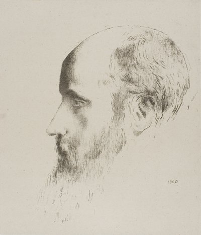 爱德华-维亚 作者 奥迪隆·雷顿（Odilon Redon）