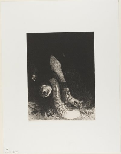 花落蟒蛇现》，第 5 版，共 24 页 作者 奥迪隆·雷顿（Odilon Redon）