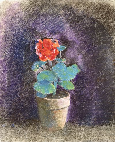 天竺葵 作者 奥迪隆·雷顿（Odilon Redon）