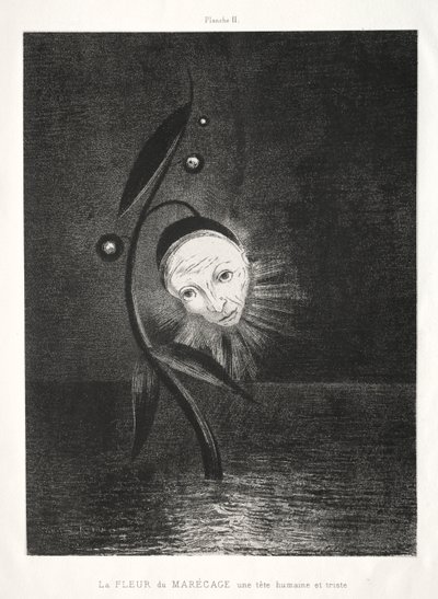 向戈雅致敬：沼泽花，悲伤的人头，1885年。 作者 奥迪隆·雷顿（Odilon Redon）