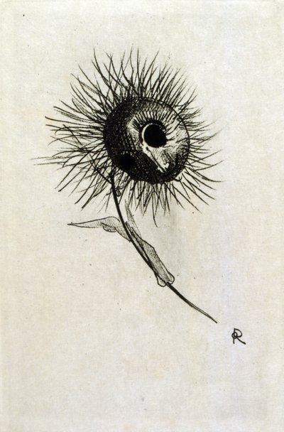 波德莱尔的《Les Fleurs du mal》插图。 1891年（雕刻） 作者 奥迪隆·雷顿（Odilon Redon）