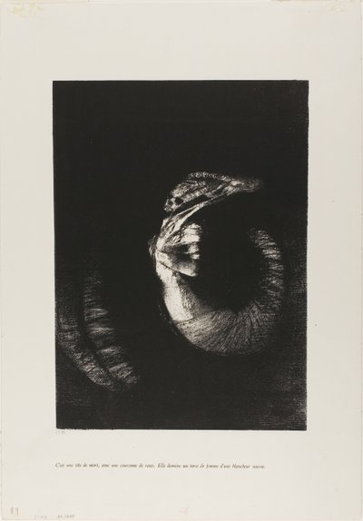 这是一个玫瑰花环的头骨...... 作者 奥迪隆·雷顿（Odilon Redon）
