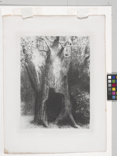 Je Me Suis Enfoncé Dans La Solitude（石版画，印在中国贴花纸上） 作者 奥迪隆·雷顿（Odilon Redon）
