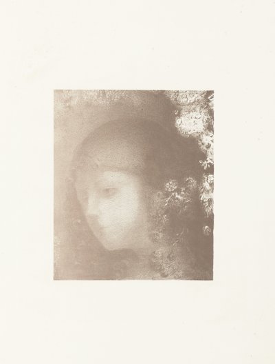幼稚园遇见鲜花 儿童头带花 作者 Lemercier 和 Cie。