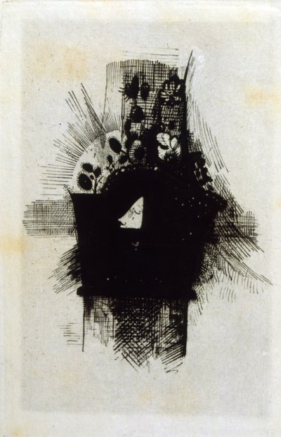 Les Fleurs du mal 作者 奥迪隆·雷顿（Odilon Redon）