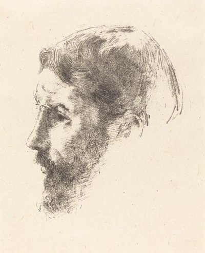 Pierre Bonnard 作者 奥迪隆·雷顿（Odilon Redon）
