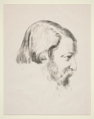 保罗-鲁西埃肖像 作者 奥迪隆·雷顿（Odilon Redon）