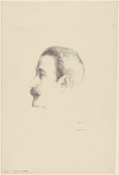 里卡多-比涅斯 作者 奥迪隆·雷顿（Odilon Redon）