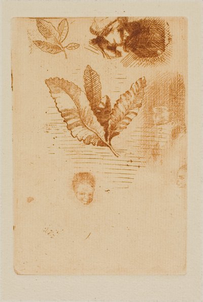 素描 作者 奥迪隆·雷顿（Odilon Redon）