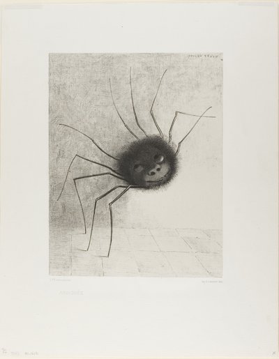 蜘蛛 作者 奥迪隆·雷顿（Odilon Redon）
