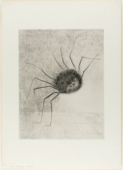 蜘蛛 作者 奥迪隆·雷顿（Odilon Redon）