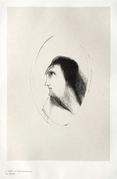 额骨的宽度和平整度 作者 奥迪隆·雷顿（Odilon Redon）