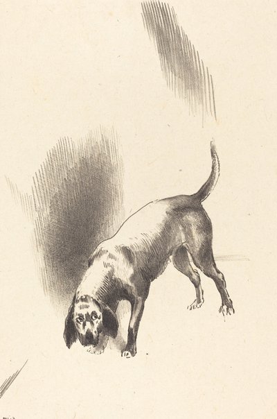 狗 作者 奥迪隆·雷顿（Odilon Redon）