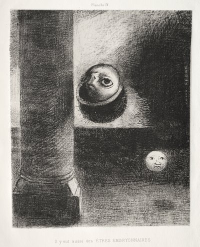 还有胚胎生命 作者 Lemercier 和 Cie。
