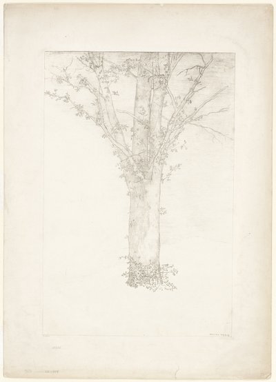 树 作者 奥迪隆·雷顿（Odilon Redon）