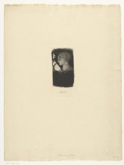 荣耀华尔兹 坏荣耀 作者 奥迪隆·雷顿（Odilon Redon）