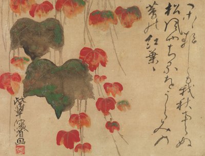 1732年之后的秋天常春藤。 作者 绪方贤三