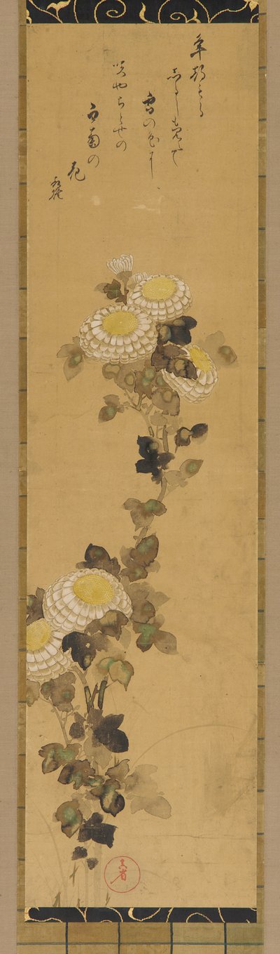 菊花，18-19世纪。 作者 绪方贤三