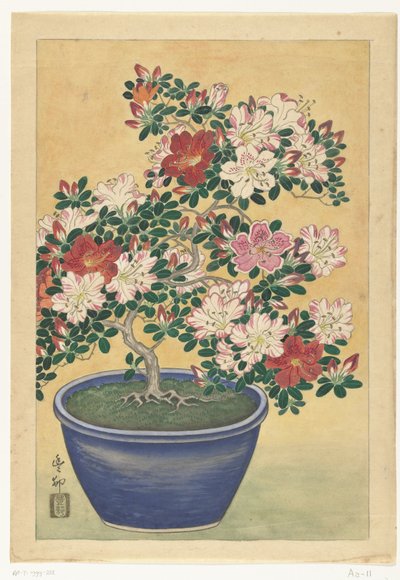 蓝色花盆中的杜鹃花 作者 Ohara Koson（艺术家签名）