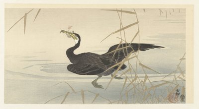 鸬鹚与鱼 作者 秋山布右卫门