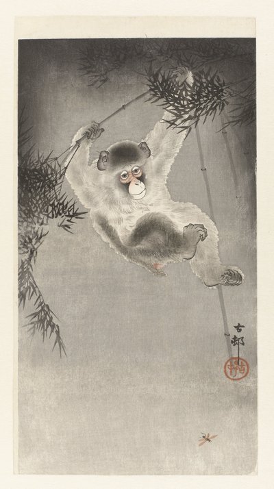 猴子，挂在竹枝上 作者 大原功臣