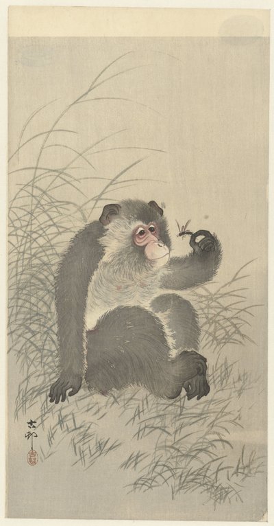 猴子与昆虫 作者 松树平吉