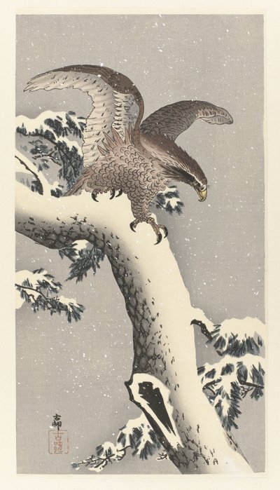 雪松上的鹰 作者 大原功臣