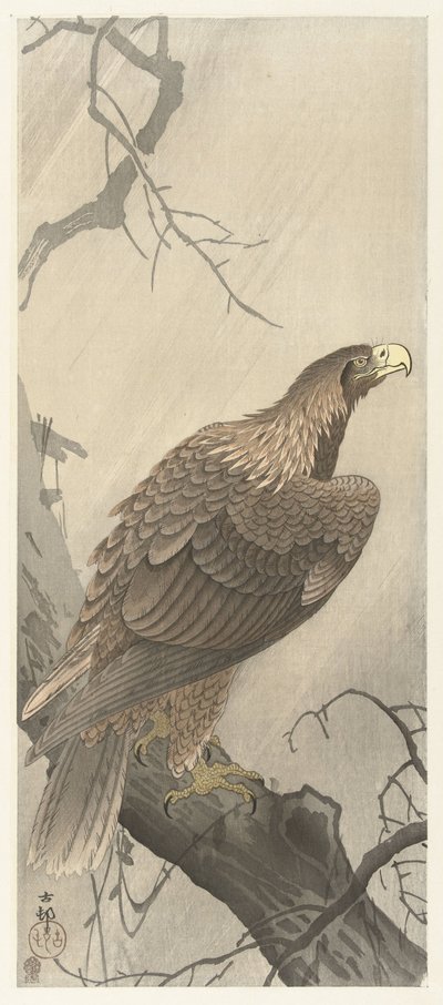树枝上的鹰 作者 秋山布右卫门