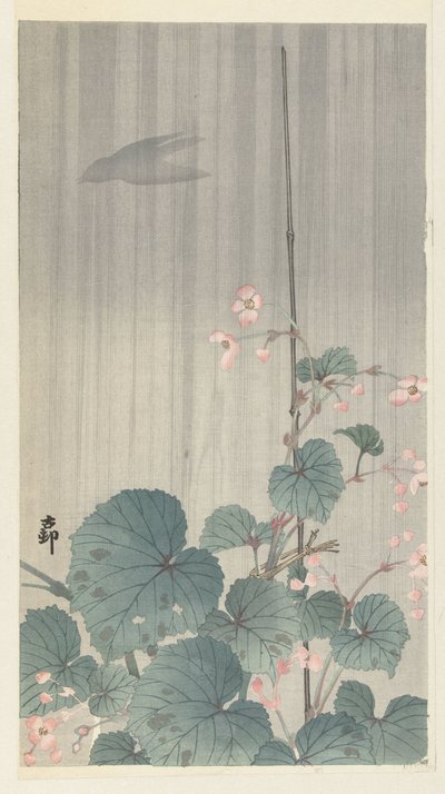 雨中的秋海棠 作者 大原功臣
