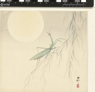 螳螂 作者 大原功臣
