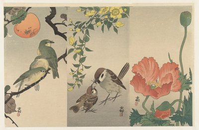 鸟类和植物 作者 大原功臣