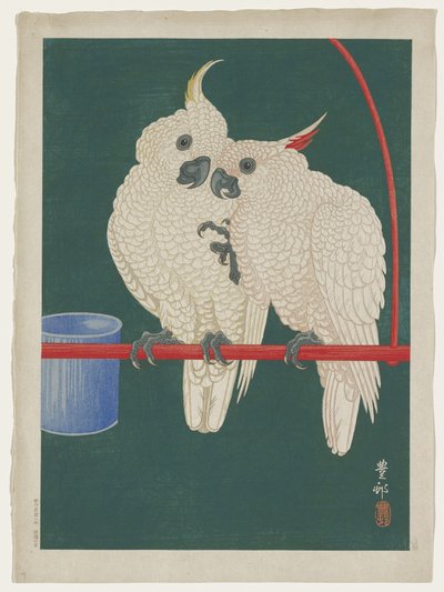 凤头鹦鹉 作者 大原功臣