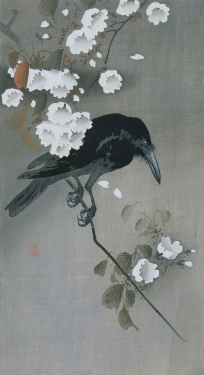 樱花枝上的乌鸦 作者 大原功臣