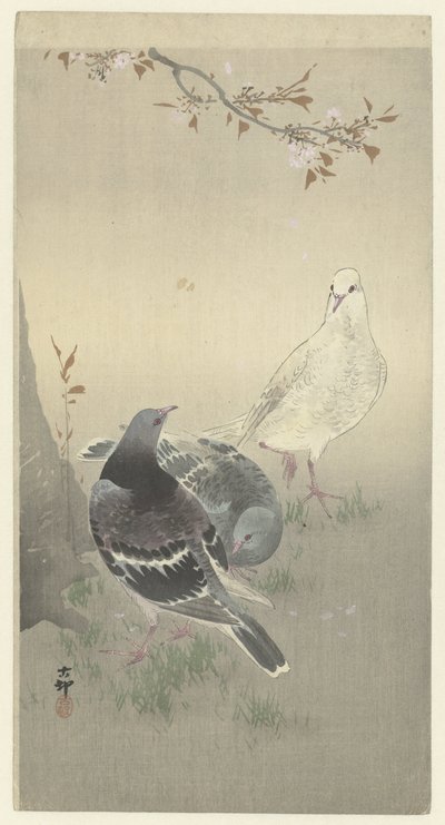 三只驯服的鸽子 作者 大原功臣
