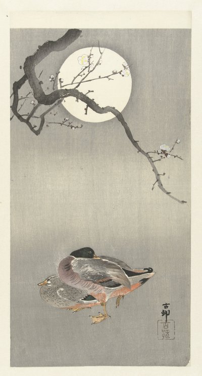 满月时的鸭子 作者 大原功臣