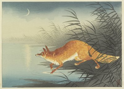 20世纪30年代的月光水狐狸（彩色木版画） 作者 Ohara Koson