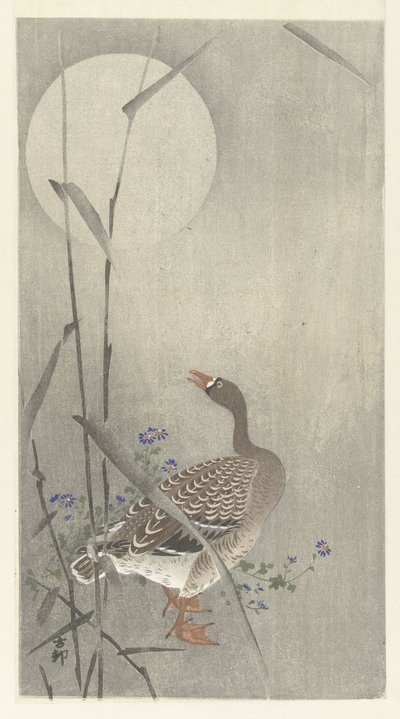 月圆之夜的鹅 作者 大原功臣