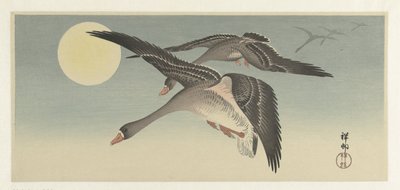 满月的大雁 作者 大原功臣