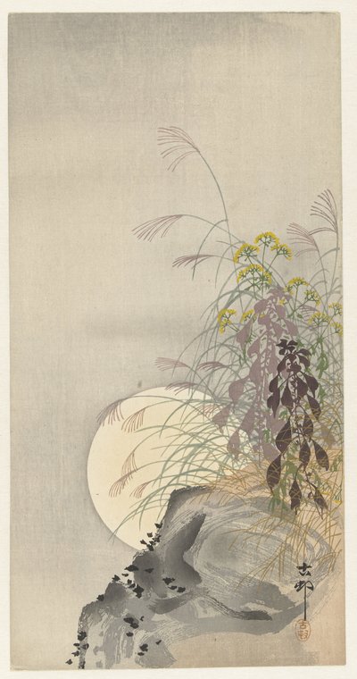满月时的草地 作者 大原功臣