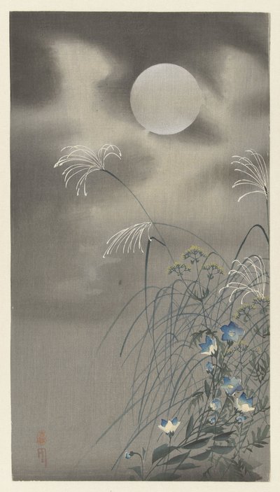 满月时的花草 作者 大原功臣