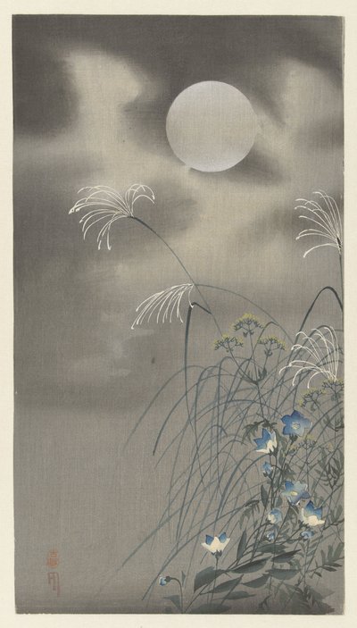 满月下的草和花 作者 大原功臣