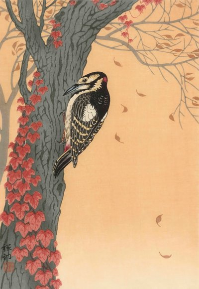 红常春藤树上的大斑啄木鸟，20 世纪（日本版画） 作者 大原功臣