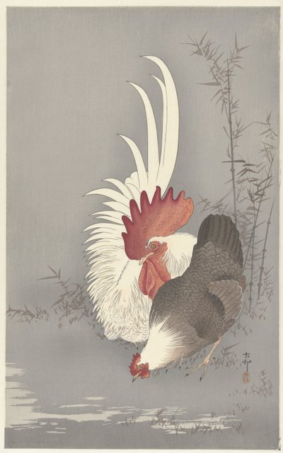 Haan en kip 作者 大原功臣