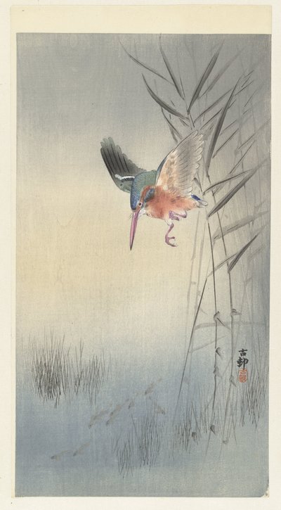 翠鸟觅食 作者 大原功臣