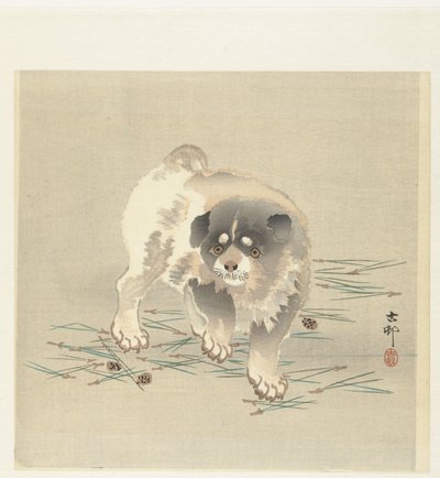 幼犬 作者 大原功臣