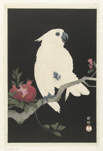 鹦鹉和石榴 作者 大原功臣